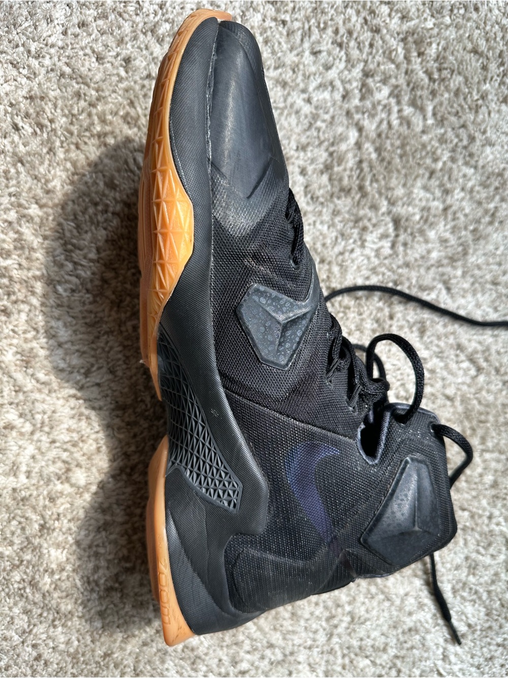 Nike LeBron James 13 Black Lion Basketball Shoes - Picture 3 of 5
